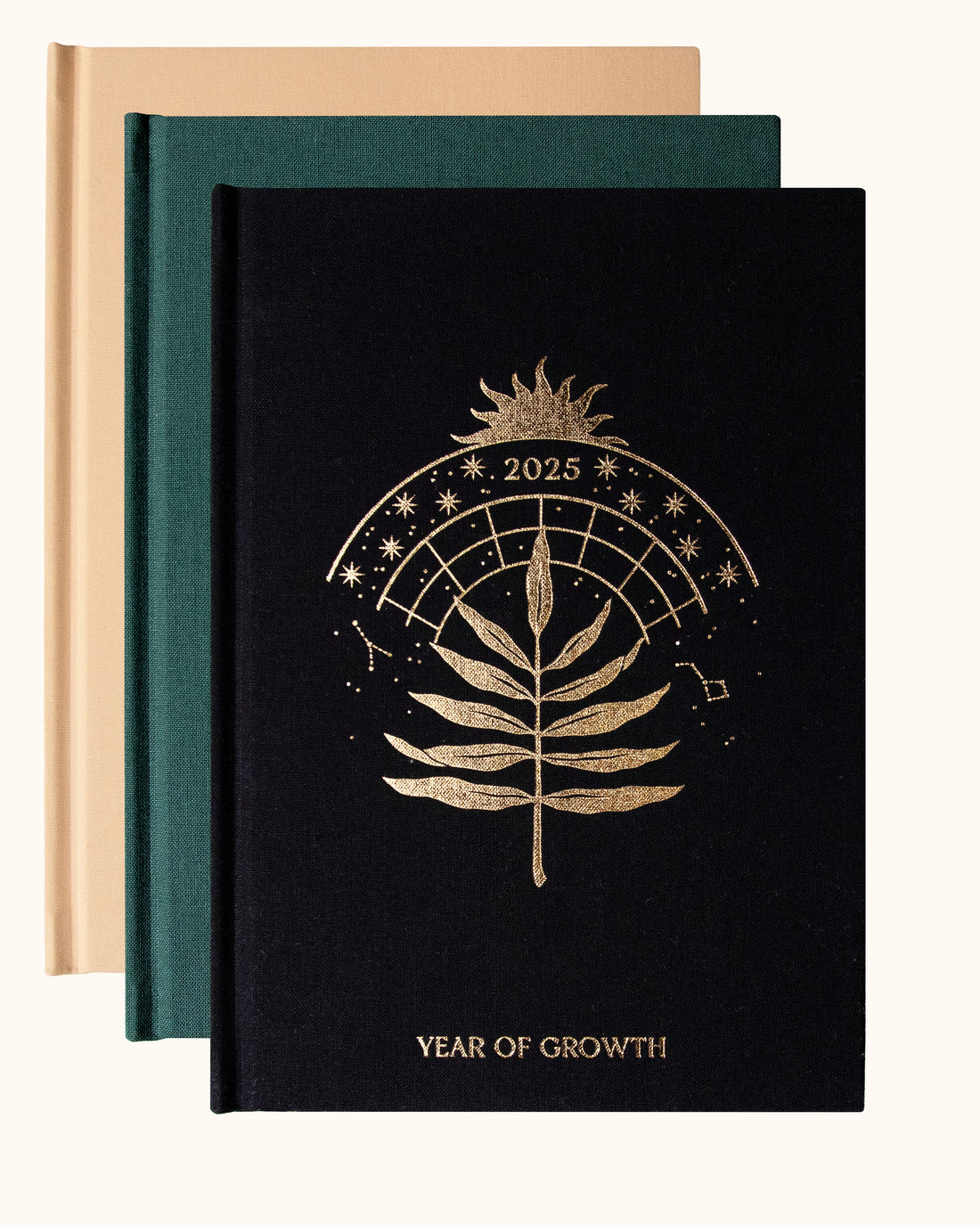 Year of Growth Book 2025, Dreamymoons